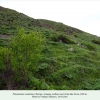 polyommatus coelestinus  biotope armenia sevan2